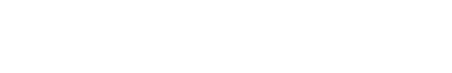 OUR BUSINESS